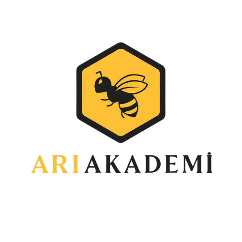 Ari Akademi